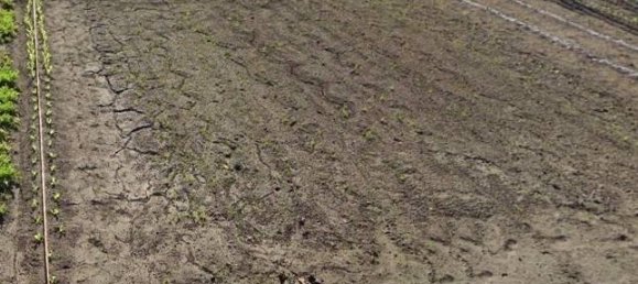 Вилла с 3 спальнями в Скафати, Италия № 10010 23