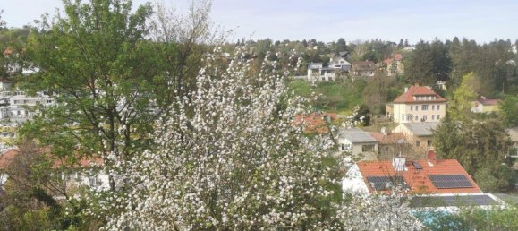 5 Schlafzimmer Villa in Klosterneuburg, Austria, Nr. 258834 17