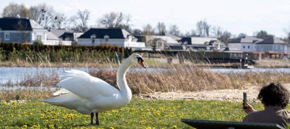 Земельный участок в Эбрайксдорф, Австрия № 160089 14