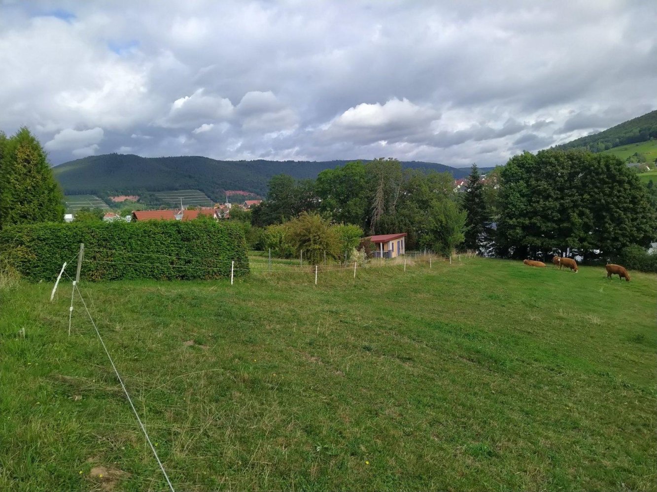 Земельный участок в Мильтенберг, Германия № 321237