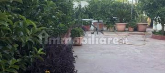 2 chambres Villa à Gallipoli, Italy No. 292053 3