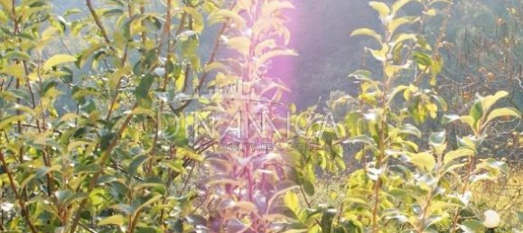 5 rooms House in Montecatini Terme, Italy No. 238129 32