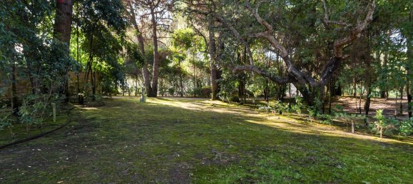 5 غرف نوم منزل في Benavente, Portugal رقم 51370 17