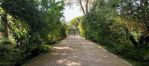 5 غرف نوم منزل في Benavente, Portugal رقم 51370 19