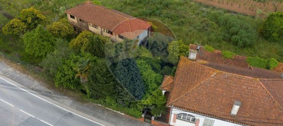 10 Schlafzimmer Haus in Anadia, Portugal, Nr. 48012 5