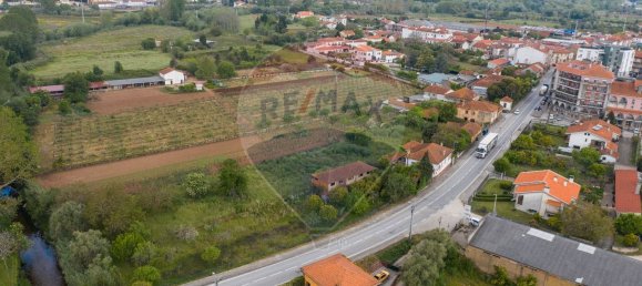 10 Schlafzimmer Haus in Anadia, Portugal, Nr. 48012 2