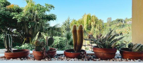 2 bedrooms Apartment in Marbella, Spain No. 148549 22