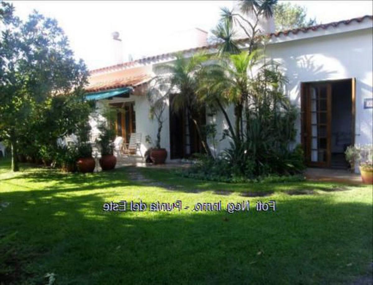 4 bedrooms House in Punta del Este, Uruguay No. 4199