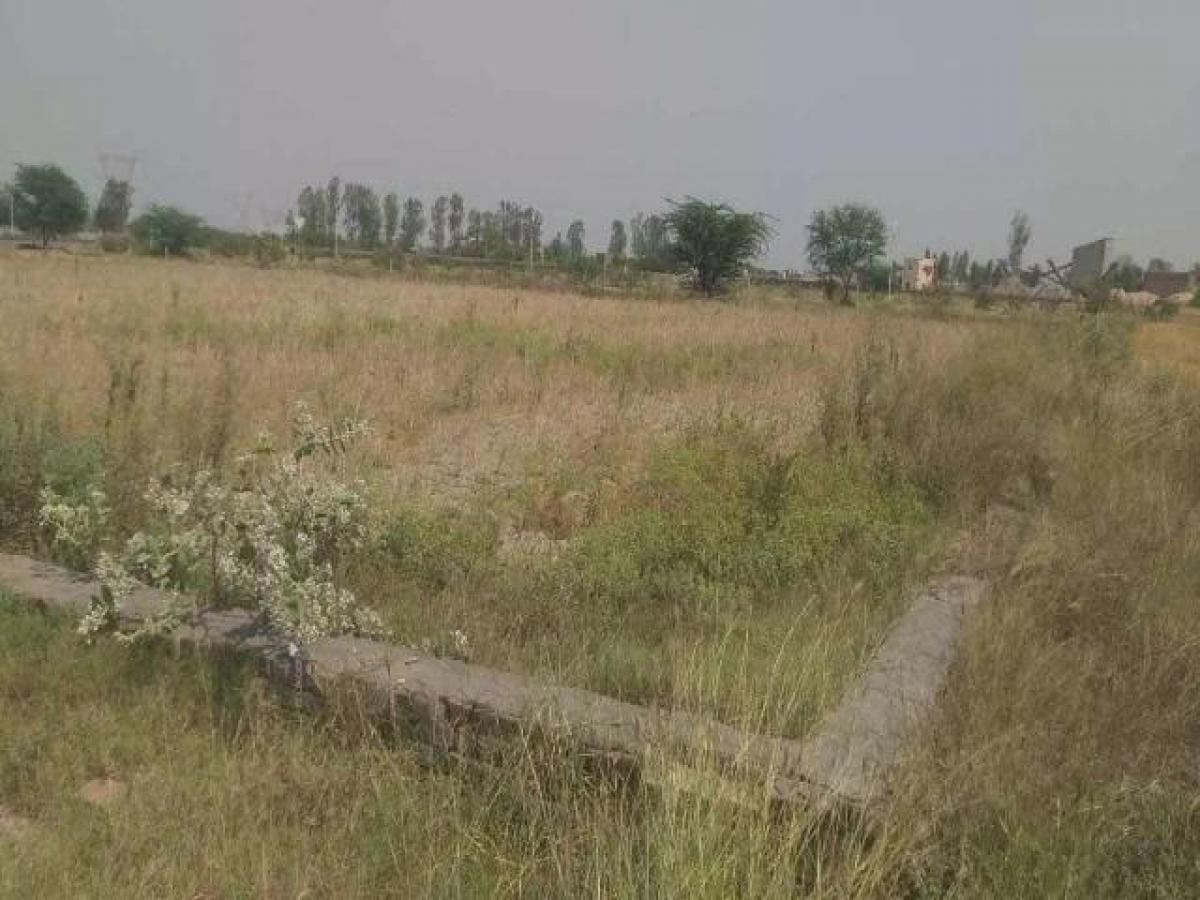 Земельный участок в Нойда, Индия № 65962