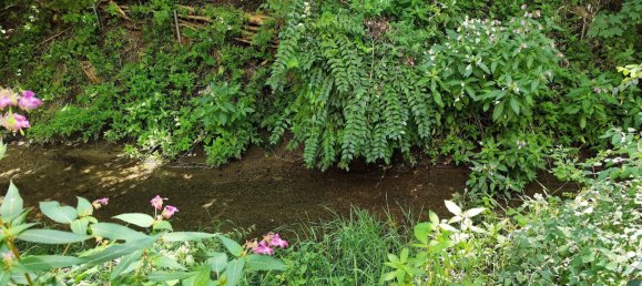 2-salle Appartement à Dillingen an der Donau, Germany No. 94205 12