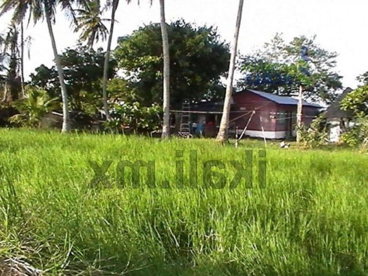 Grundstück in Veracruz, Mexico, Nr. 203778