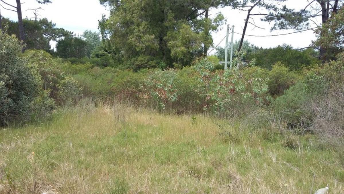  Land in Maldonado, Uruguay No. 14339