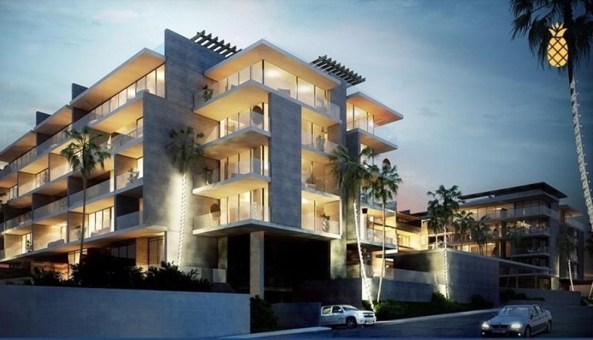 Estudio en Solidaridad, Mexico No. 183559