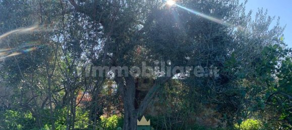  قطعة أرض في Ficarazzi, Italy 850متر مربع رقم 62435 11