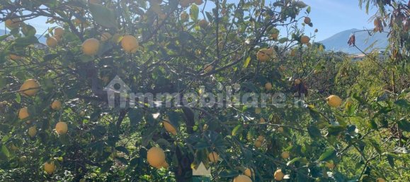  قطعة أرض في Ficarazzi, Italy 850متر مربع رقم 62435 6