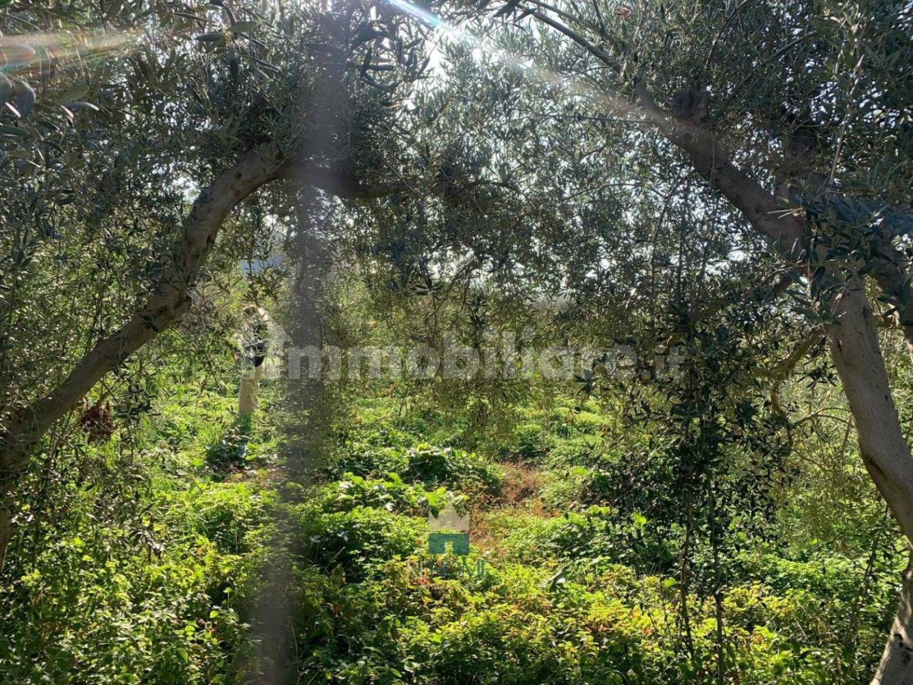  قطعة أرض في Ficarazzi, Italy 850متر مربع رقم 62435