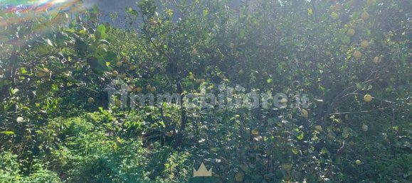  قطعة أرض في Ficarazzi, Italy 850متر مربع رقم 62435 10