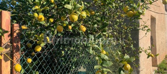  قطعة أرض في Ficarazzi, Italy 850متر مربع رقم 62435 8