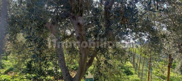  قطعة أرض في Ficarazzi, Italy 850متر مربع رقم 62435 2