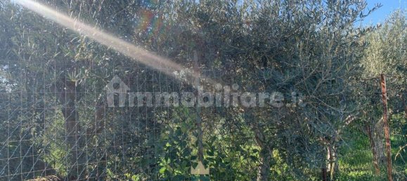  قطعة أرض في Ficarazzi, Italy 850متر مربع رقم 62435 13