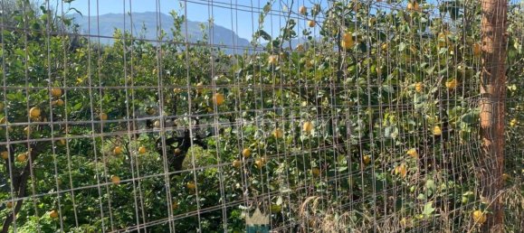  قطعة أرض في Ficarazzi, Italy 850متر مربع رقم 62435 12