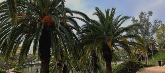 Apartamento T1 em Benalmadena, Spain N.º 21869 14