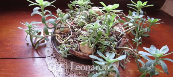 Дом с 10 комнатами в Лукка, Италия № 47969 19