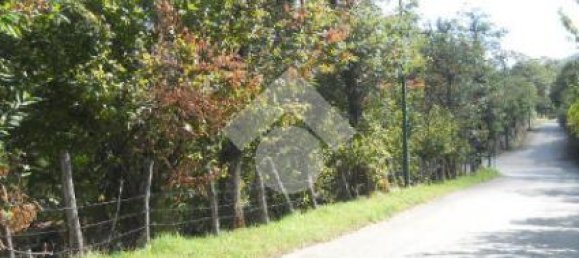 Terreno en Serino, Italy 5500 m² No. 154136 9