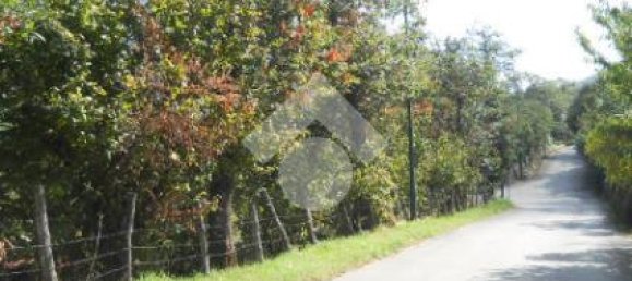 Terreno en Serino, Italy 5500 m² No. 154136 4