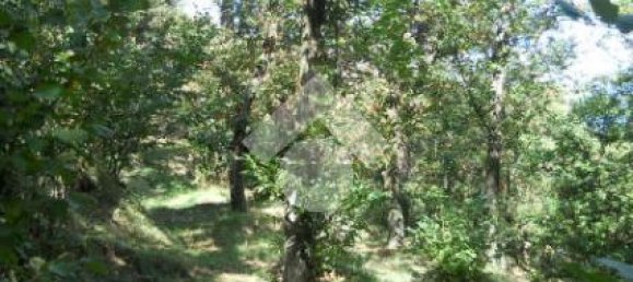 Terreno en Serino, Italy 5500 m² No. 154136 6