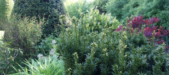 Casa de 5 habitaciónes en Cuxhaven, Germany No. 65590 8
