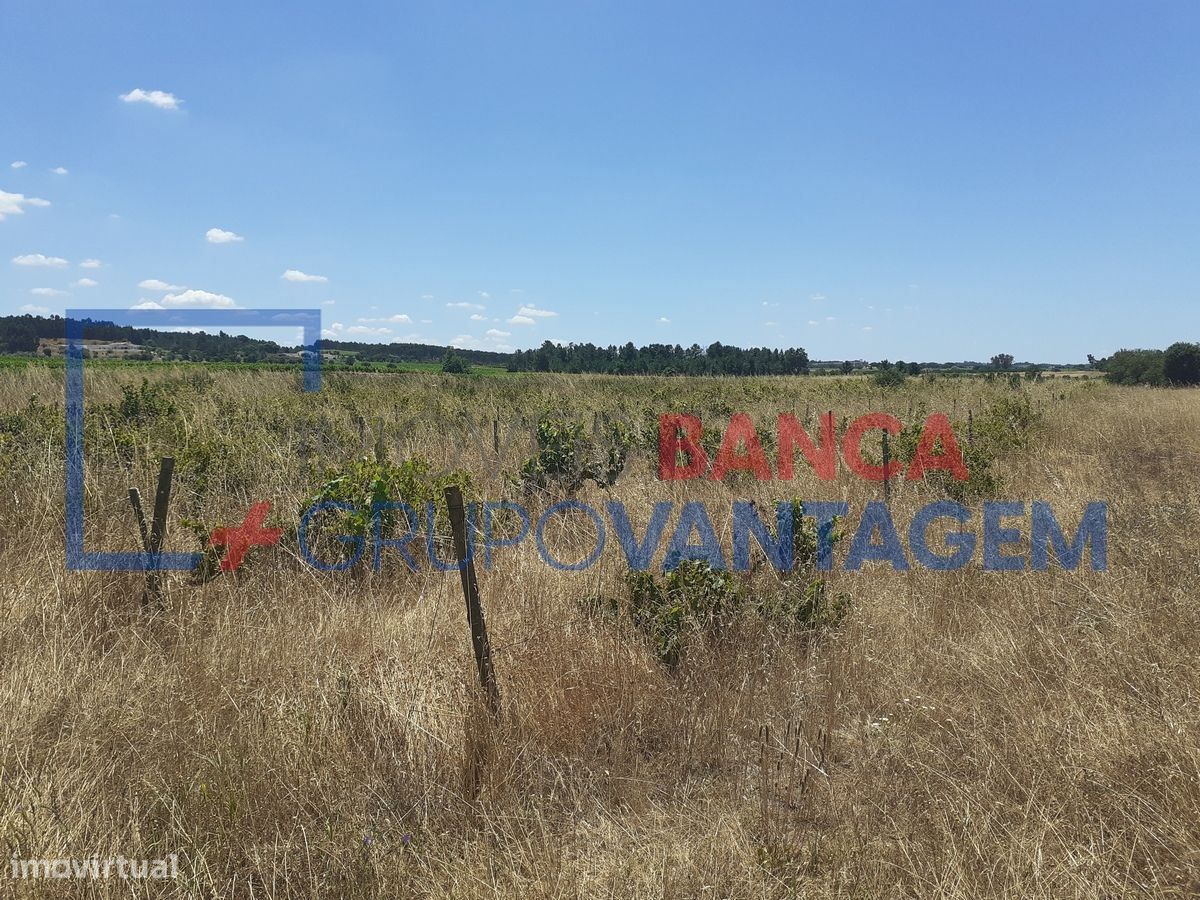 Terreno en Alpiarca, Portugal 7500 m² No. 62222