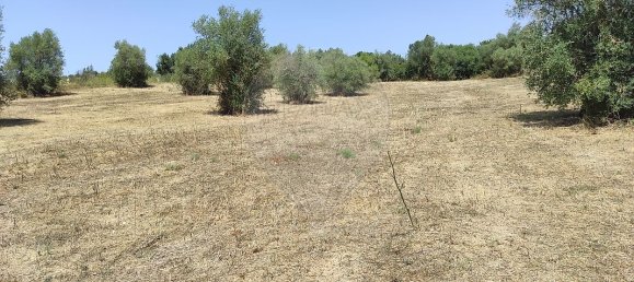 1 غرف نوم منزل في Santarem, Portugal رقم 30212 7