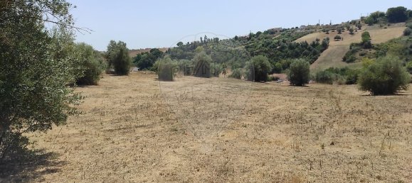 1 غرف نوم منزل في Santarem, Portugal رقم 30212 3