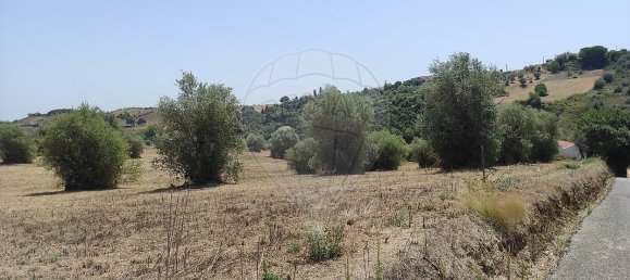 1 غرف نوم منزل في Santarem, Portugal رقم 30212 2