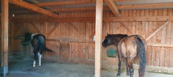 3غرفة بنغالو في Passau, Germany رقم 268279 13