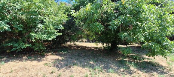 4600m² Hotel in Corfu, Greece No. 1871 5