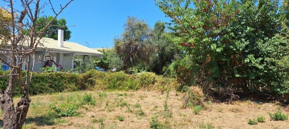 4600m² Hotel in Corfu, Greece No. 1871 12