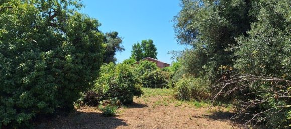 4600m² Hotel in Corfu, Greece No. 1871 8