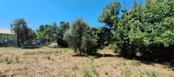 4600m² Hotel in Corfu, Greece No. 1871 9