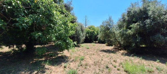 4600m² Hotel in Corfu, Greece No. 1871 4