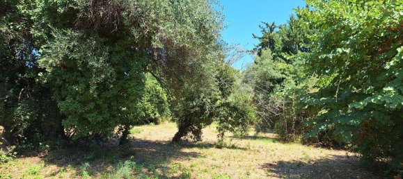 4600m² Hotel in Corfu, Greece No. 1871 6