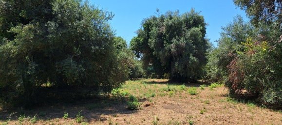 4600m² Hotel in Corfu, Greece No. 1871 10