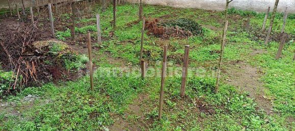 3 Schlafzimmer Haus in Mortara, Italy, Nr. 163779 42