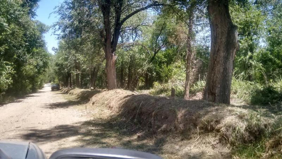  Land in Cordoba, Argentina No. 46524