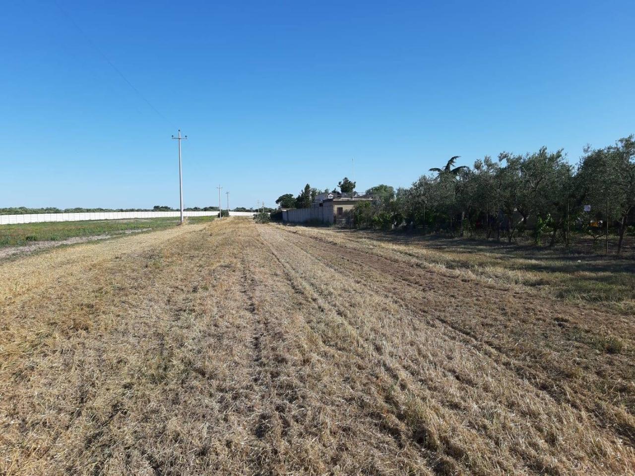 1-Zimmer Grundstück in Foggia, Italy, Nr. 162993