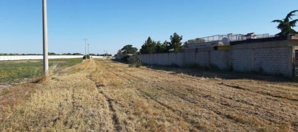 1-Zimmer Grundstück in Foggia, Italy, Nr. 162993 3