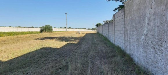 1-Zimmer Grundstück in Foggia, Italy, Nr. 162993 9