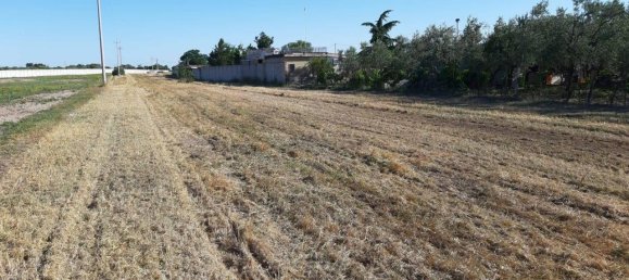 1-Zimmer Grundstück in Foggia, Italy, Nr. 162993 2