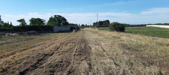 1-Zimmer Grundstück in Foggia, Italy, Nr. 162993 5